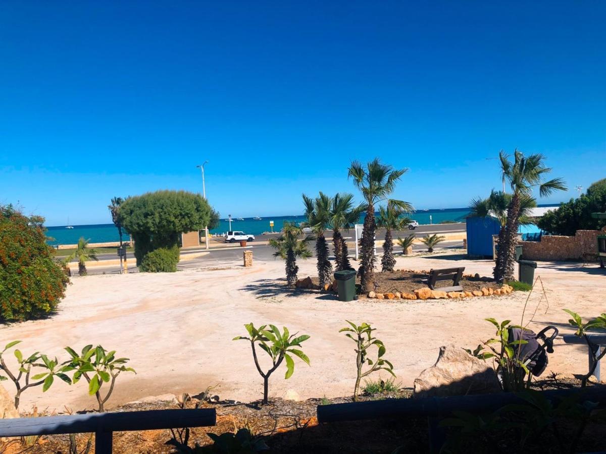 Shark Bay Denham