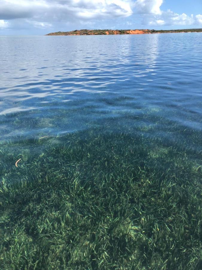 Shark Bay Apartment