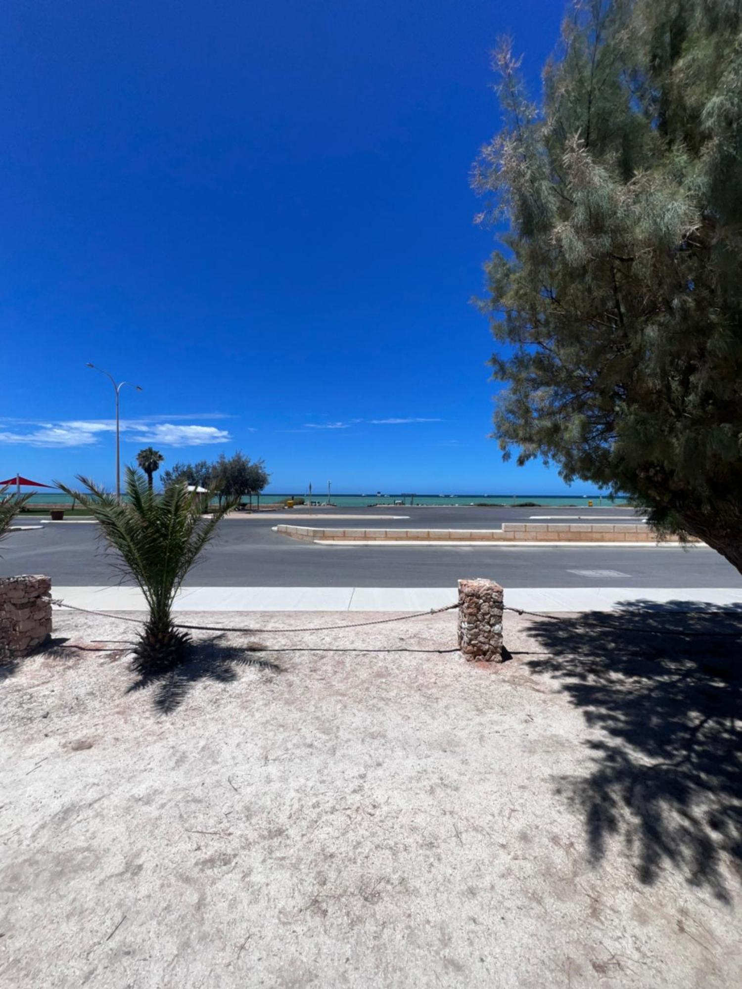 Shark Bay * Denham