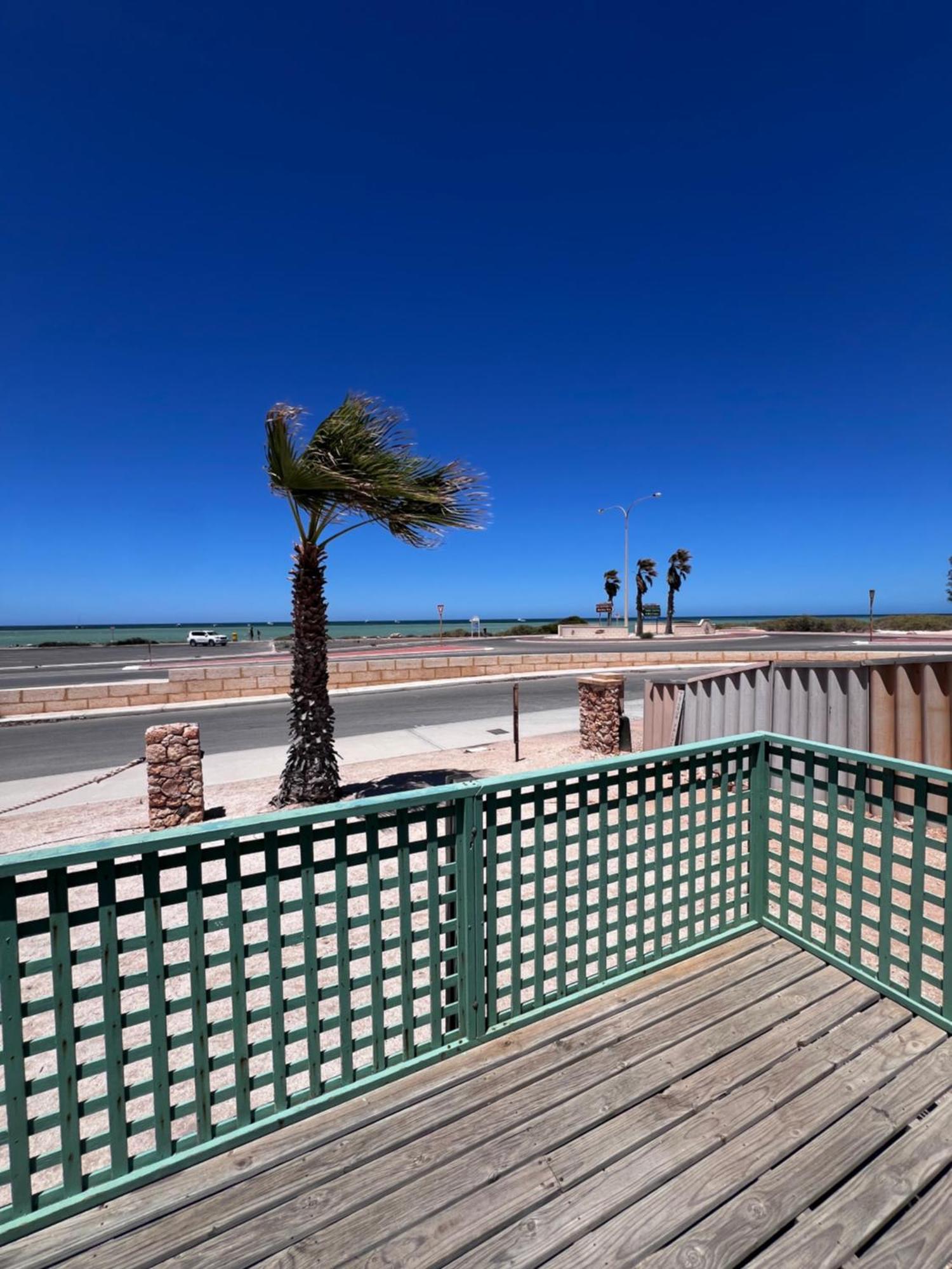 Apartment Shark Bay